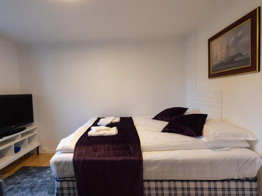 Aurora Dream House Apartment With Free Parking Tromso Exterior photo