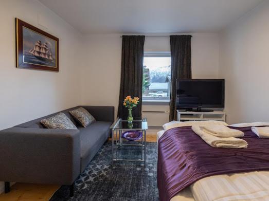 Aurora Dream House Apartment With Free Parking Tromso Exterior photo